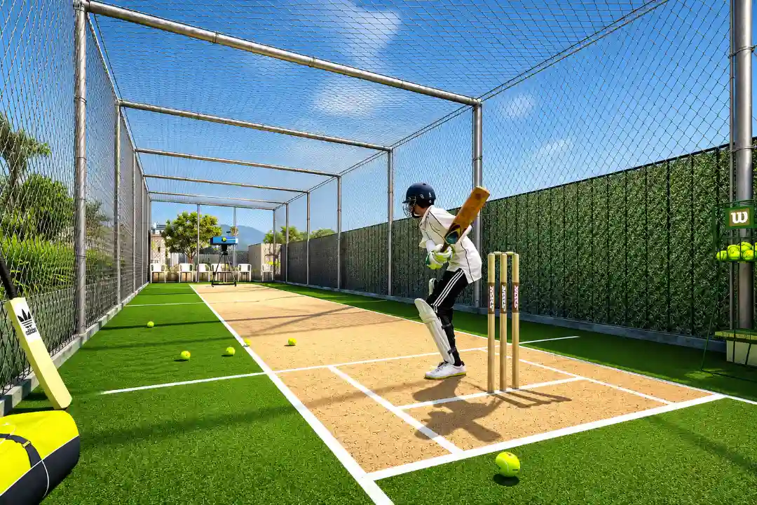 Cricket Court